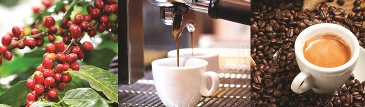 Banner SỬA MÁY PHA COFFE, CÀ PHÊ TẠI HÀ NỘI, BẢO TRÌ BẢO DƯỠNG MÁY PHA CÀ PHÊ